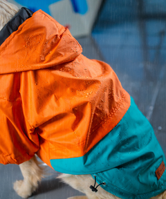 Full-Coverage Dog Raincoat: Orange-Blue
