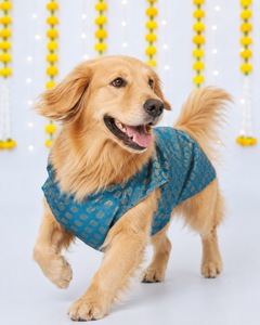 Dog Kurta with Bowtie Blue