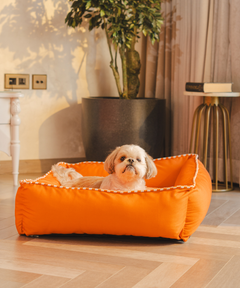 Cuddle Checker Lounger Dog Bed
