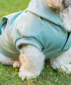 Teal Dog Hoodie