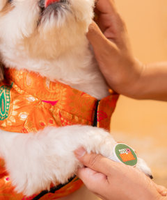 Dog Bracelet
