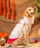 White-Pink Dog Kurta