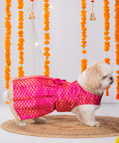 Festive Brocade Dog Dress (Pink)