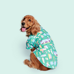 Summery Dog Shirt Pack of 2