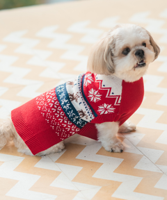 Red Snuggle Sweater