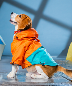 Drizzle Duo Raincoats Pack of 2