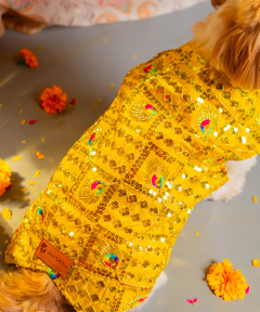 Dog Kurta Yellow