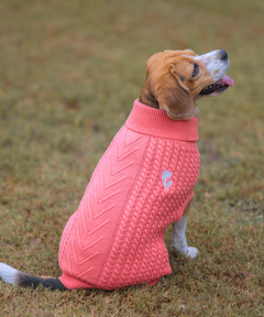Shivery Dog sweaters Pack of 2