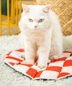 Cat Mat