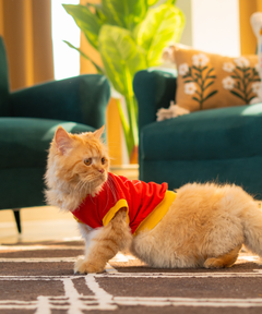 French Fries Cat T-shirt