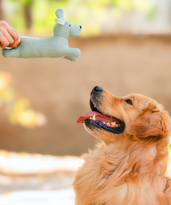 Cheerful Pup Plush Dog Toy