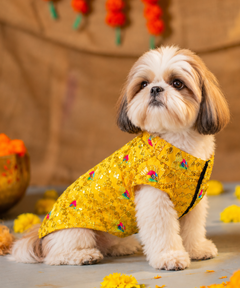 Dog Kurta Yellow