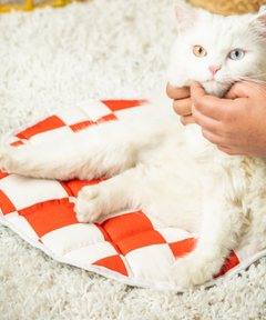 Cat Mat