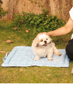 Sky Bloom Pet Mat