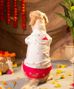 Adorable Dog Kurtas Pack of 2
