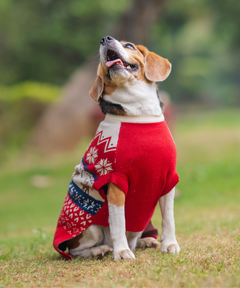 Red Snuggle Sweater