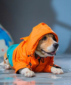 Drizzle Duo Raincoats Pack of 2