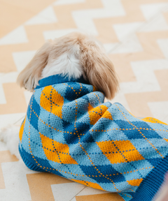Checks Knit Dog Sweater