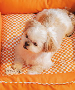 Cuddle Checker Lounger Dog Bed