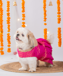 Festive Brocade Dog Dress (Pink)
