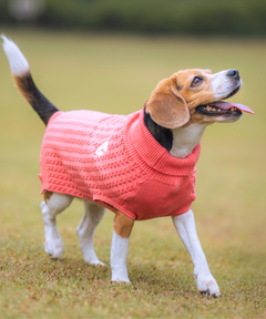 Cozy Dog sweaters Pack of 2