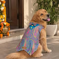Pet Set Go Festive Dog Kurta (Blue)