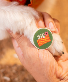 Dog Bracelet