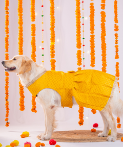 Festive Brocade Dog Dress (Pink)