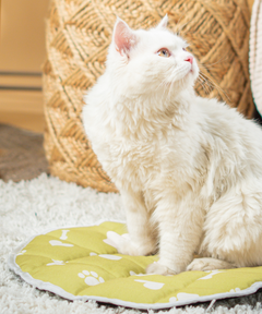 Cat Mat