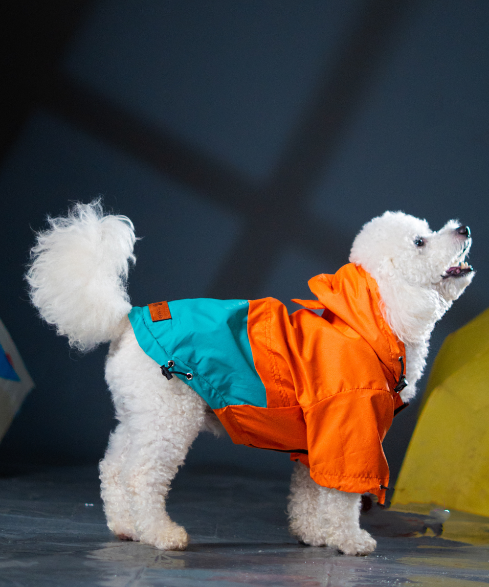 Full-Coverage Dog Raincoat: Orange-Blue - Main Image