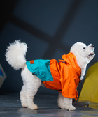 Full-Coverage Dog Raincoat: Orange-Blue