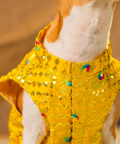 Dog Kurta Yellow