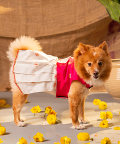 White-Pink Dog Dress