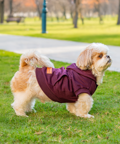 Plum Dog Hoodie