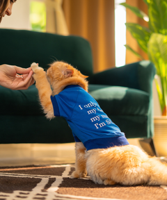 I only love my bed Cat T-shirt