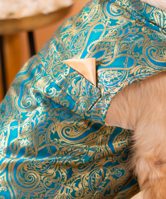Cute Dog Kurtas Pack of 2
