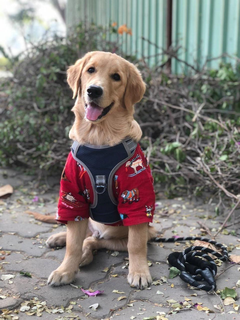 Pet Set Go - Pet Clothing, Pet Toys and Pet T-shirts