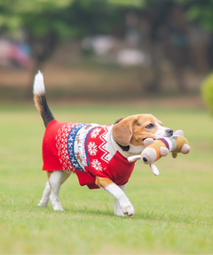 Red Snuggle Sweater