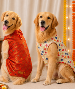 Charming Dog Kurtas Pack of 2