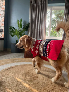 Red Snuggle Sweater