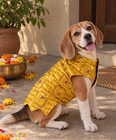 Dog Kurta Yellow
