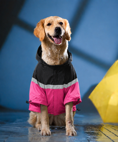 Full-Coverage Dog Raincoat Pink-Black