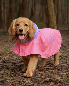 Cape Style Red Blue- Dog Raincoat