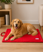 Coloured Pet Mat