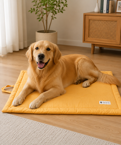 Coloured Pet Mat - Yellow