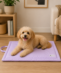Coloured Pet Mat - Lavender