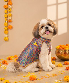 Dog Kurta with Pocket Square Neelam