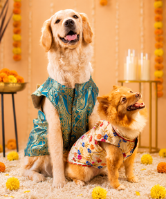 OG Dog Kurtas Pack of 2