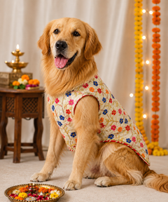 Embroidered Dog Kurta Beige