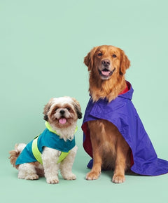 Rain Rebel Dog Raincoats Pack of 2